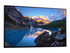 Dell UltraSharp U2424H