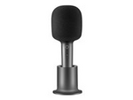 Karaoke Microphone