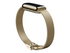 Fitbit Stainless Steel Mesh