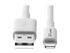 Eaton Tripp Lite Series USB-A to Lightning Sync/Charge Cable (M/M)