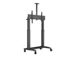 M Motorized Public Floorstand Dual Pillar 180 HD
