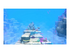 Dave the Diver Complete Edition Nintendo Switch 2