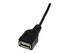 StarTech.com 1 ft Mini USB 2.0 Cable