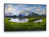 Dell P5524Q 55" Klass (54.6" visbar) LED-bakgrundsbelyst LCD-skärm