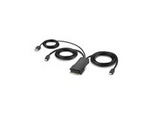 Secure Modular Mini DP Dual Head Host Cable