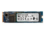 SSD - 256 GB - inbyggd
