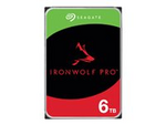 IronWolf Pro ST6000NT001