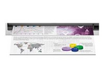 DSmobile DS-940DW