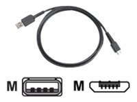 Zebra - USB-kabel - USB till mikro-USB typ B