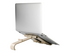 R-Go Tablet and laptop stand Treepod