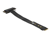 Delock M.2 Key M to PCIe x4 NVMe