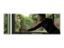 Microsoft Modern Webcam for Business