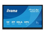 ProLite TE5513A-B1AG