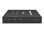 EX-100-KVM-IP