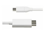 6.6ft (2m) USB C to DisplayPort 1.2 Cable, Bidirectional