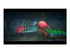 Dave the Diver Complete Edition Nintendo Switch 2