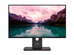ThinkVision T24-40