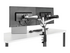 StarTech.com Desk Mount Dual Monitor Arm