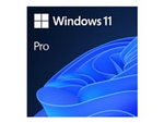 Windows 11 Pro - Licens