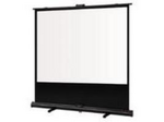 Portable Self-Stand Screen