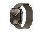 Milanese Loop 2