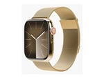 Milanese Loop 2