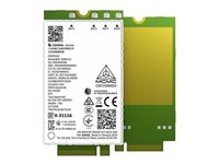 Dell Wireless DW5933E