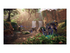 Horizon Zero Dawn Remastered Sony PlayStation 5