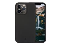 dbramante1928 Greenland