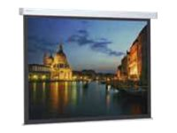 Projecta ProScreen Square Format