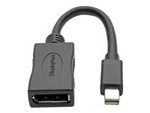 Tripp Lite Series Keyspan Mini DisplayPort to DisplayPort Adapter, 4K 60 Hz, Black (M/F), 6-in. (15.24 cm)