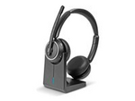 L118 - Headset