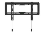 M OLED Wallmount Fixed