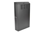 Tripp Lite Series 6U Wall Mount Rack Enclosure Server Cabinet Vertical 36" Deep