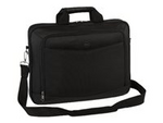 Professional Lite Business Case