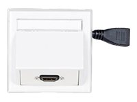 VivoLink Wall Connection Box