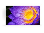 LD-EC181-162 - LD-EC Series LED-videovägg