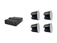 VivoLink Audiopack AUDIOPACK-IC4