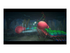 Dave the Diver Complete Edition Nintendo Switch 2