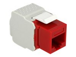 Keystone module