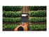 Microsoft Surface Laptop Copilot+ PC for Business