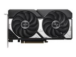 Dual GeForce RTX 5060 8GB