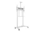 M Floorstand XL