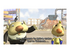 Pikmin 1+2 Nintendo Switch