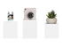 Fujifilm Instax SQUARE SQ1