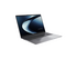 ASUS ExpertBook P3 PM3606CKA-MB0274XW