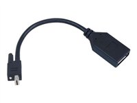 Matrox TripleHead2go upgrade DisplayPort-adapter