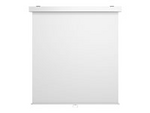 M Manual Projection Screen