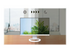 EIZO FlexScan EV2490-WT