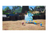 Pikmin 4 Nintendo Switch